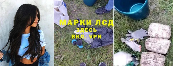сатива Бородино