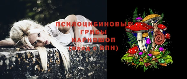 прущая мука Верхний Тагил
