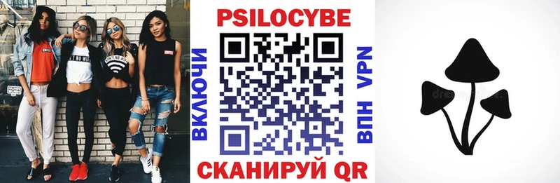 Псилоцибиновые грибы Psilocybine cubensis  цены   ссылка на мегу онион  Белгород 